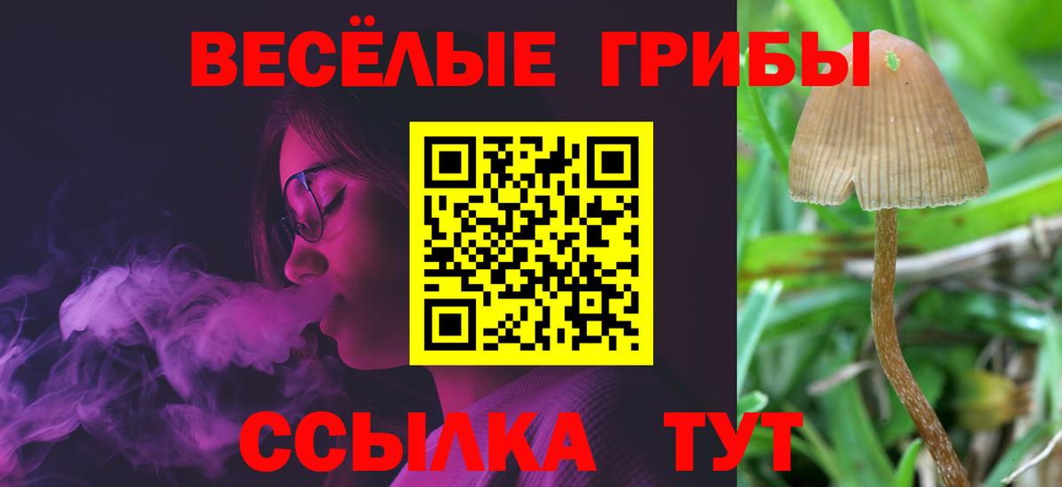 Галлюциногенные грибы ЛСД Бор